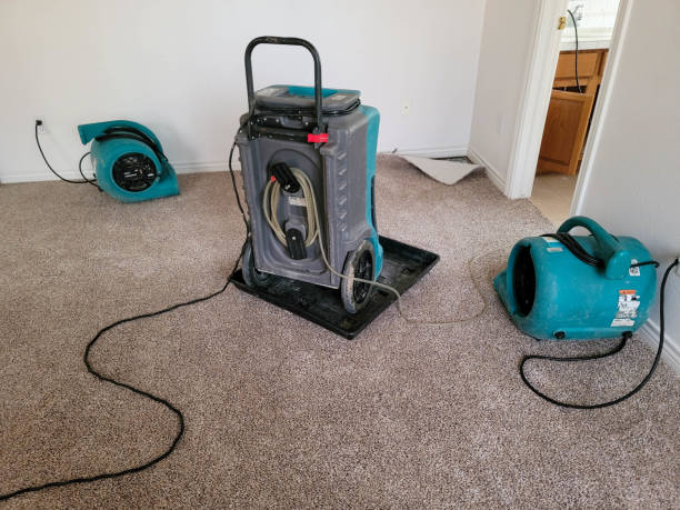 Best Water damage restoration process  in Duvall, WA