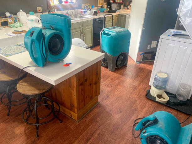 Best Local water damage restoration  in Duvall, WA