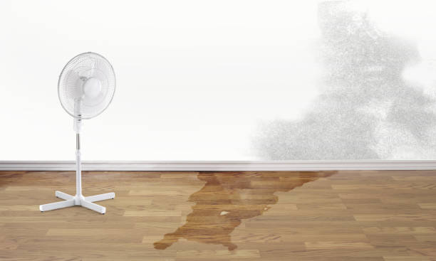 Best Flooded house restoration  in Duvall, WA