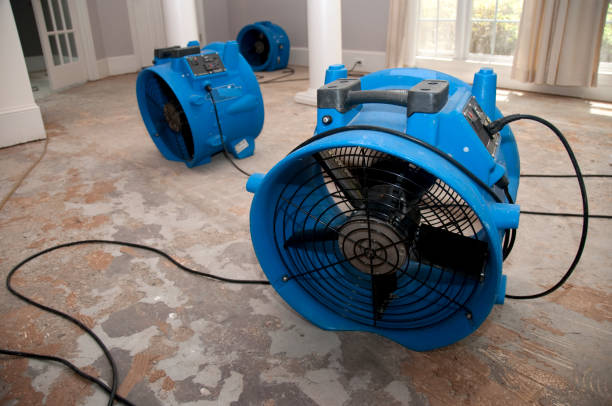 Best 24-hour water damage restoration  in Duvall, WA