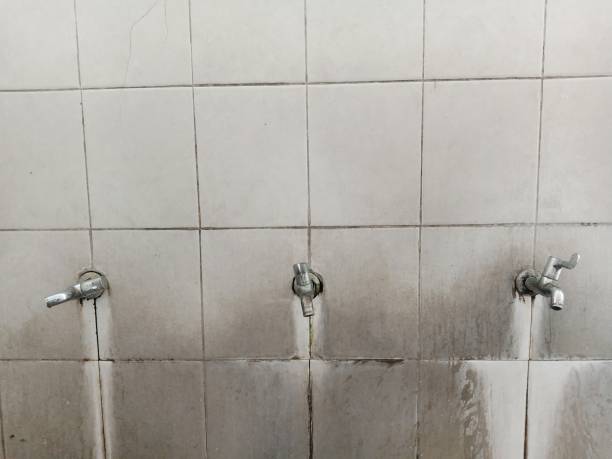 Best Water damage contractors near me  in Duvall, WA