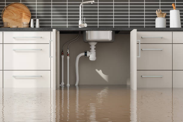 Best Emergency water damage restoration  in Duvall, WA