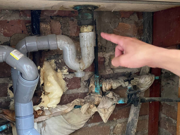 Best Water damage restoration mold remediation  in Duvall, WA