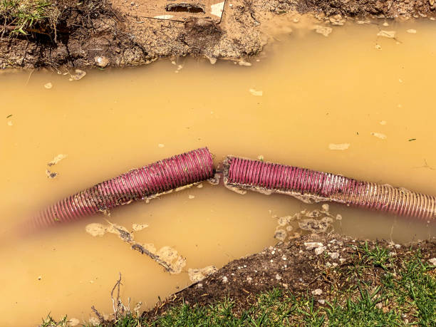 Duvall, WA Water damage restoration Pros