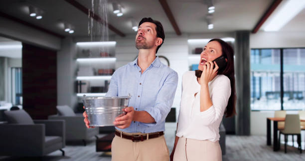 Best Water damage restoration company  in Duvall, WA